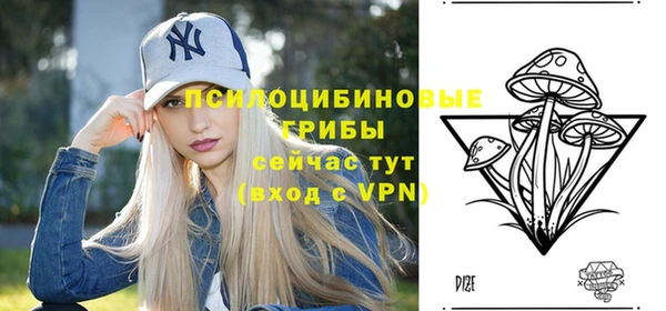 дурь Кулебаки