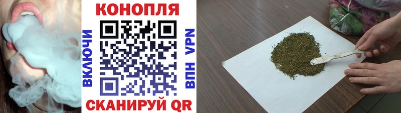 Конопля OG Kush  площадка формула  Невинномысск 